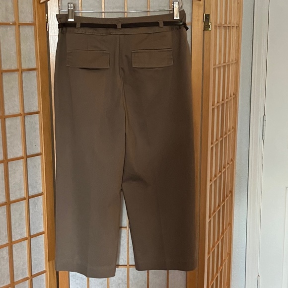 Modern Fit Straight Leg Taupe Cropped Pants Sz 4 - Picture 2 of 8